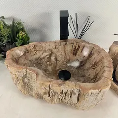 Раковины из окаменелого дерева