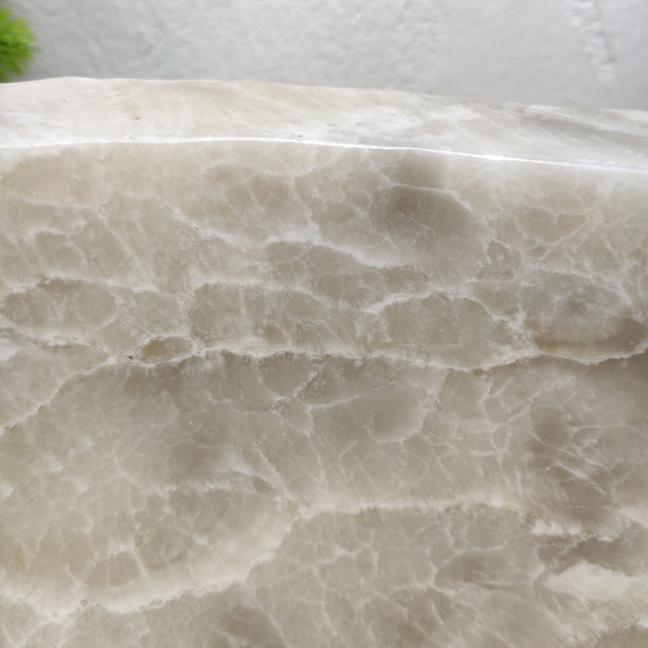 cr36p3lqr2gvx07ddb5z1306kbuws4f8