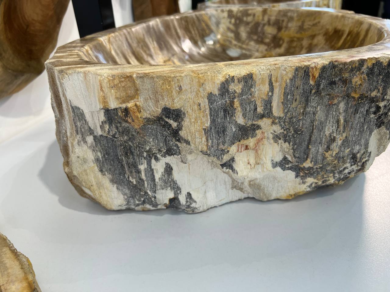 Раковина из окаменелого дерева ПАРА! OD-66865 51*39*15 из натурального камня