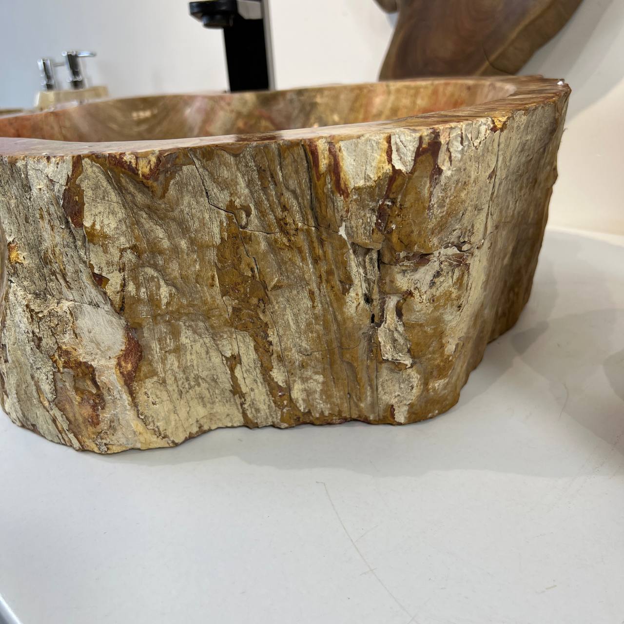 Раковина из окаменелого дерева ПАРА! OD-66876 62*45*16 из натурального камня
