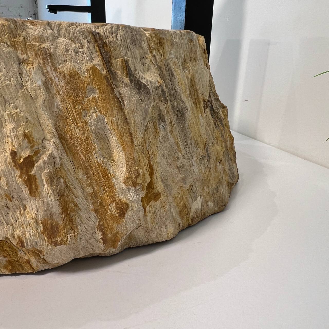 Раковина из окаменелого дерева ПАРА! OD-66941 53*42*15 из натурального камня
