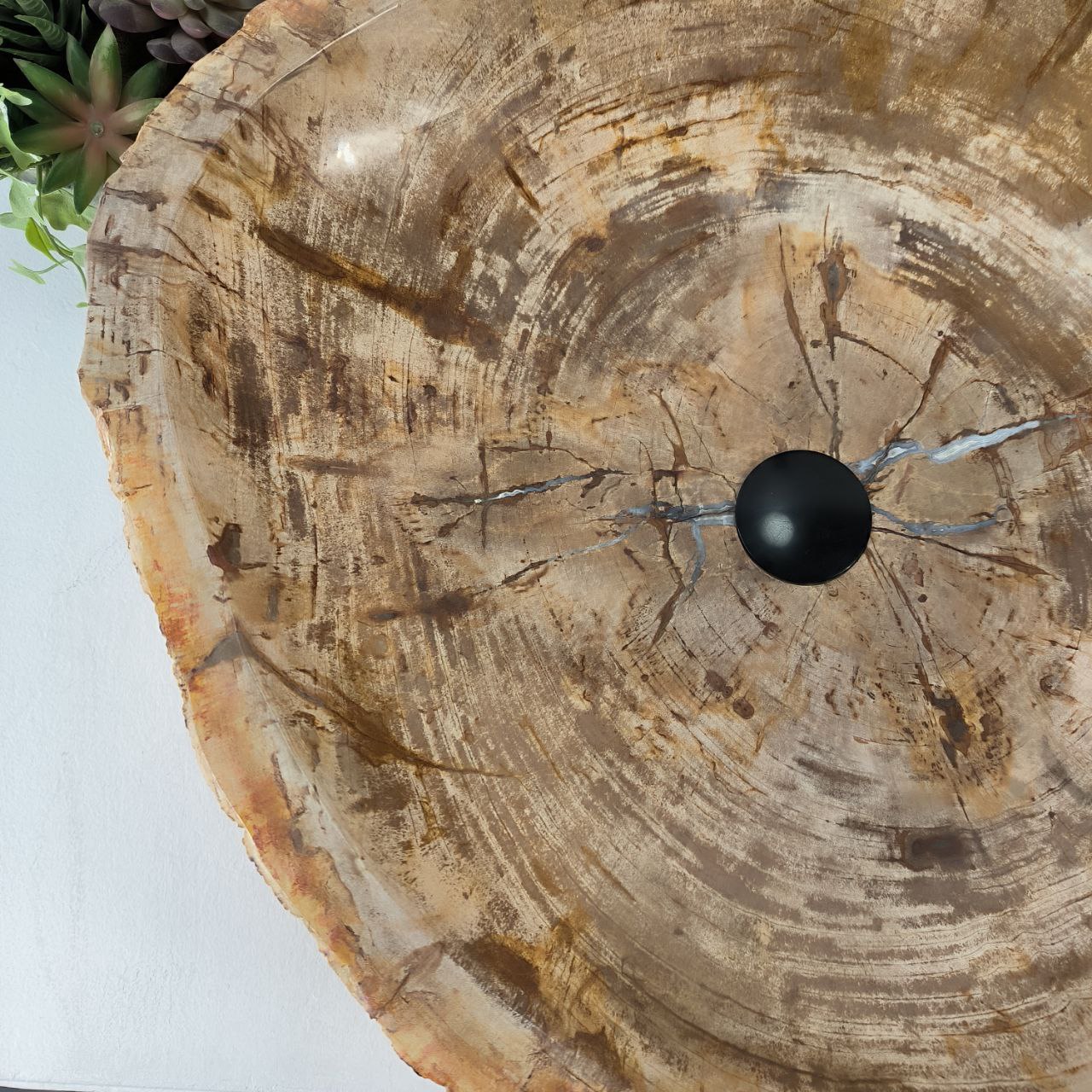 jp3esmr0mpvgoxhtb9c6i46xfterco5d