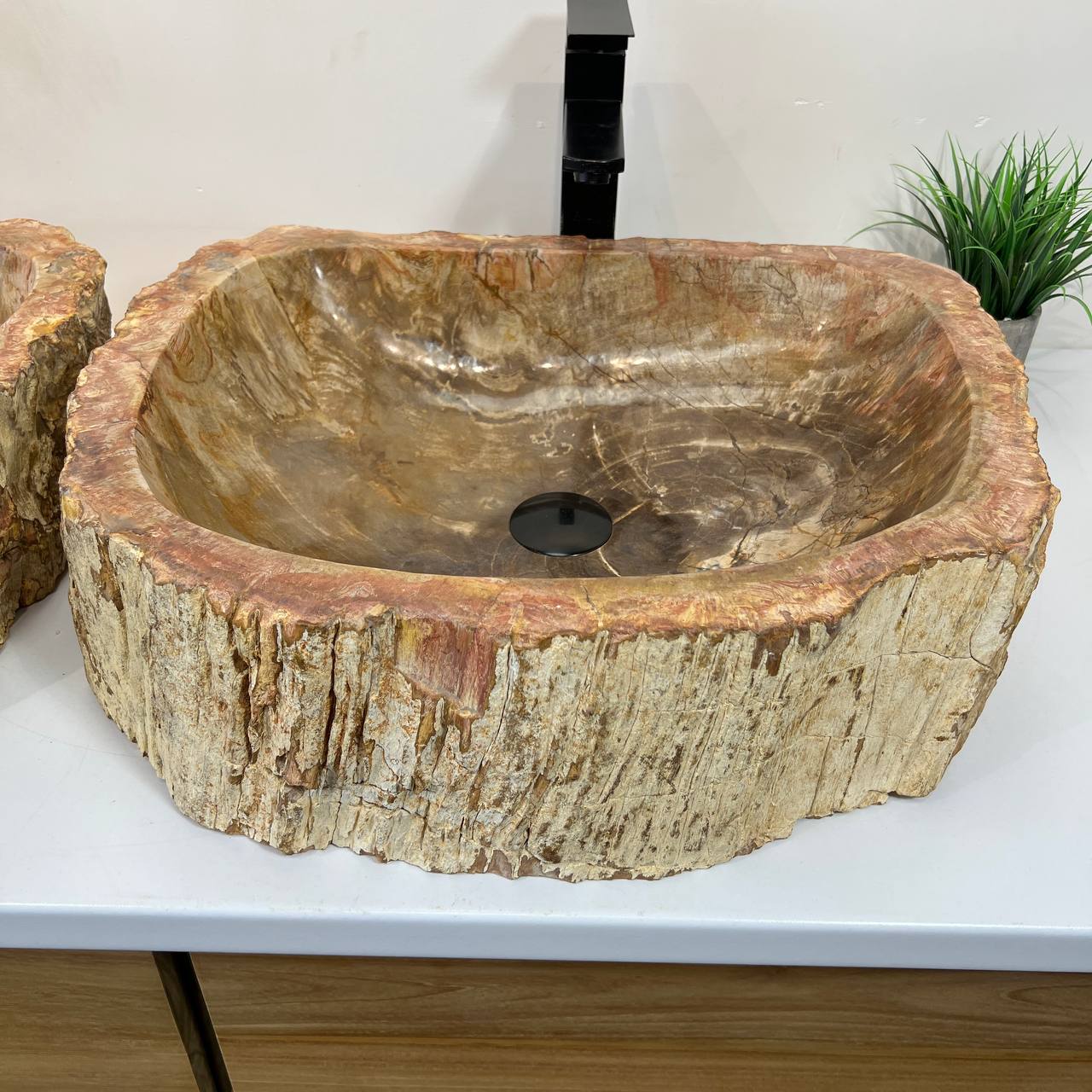 Раковина из окаменелого дерева ПАРА! OD-66879 55*45*16 из натурального камня
