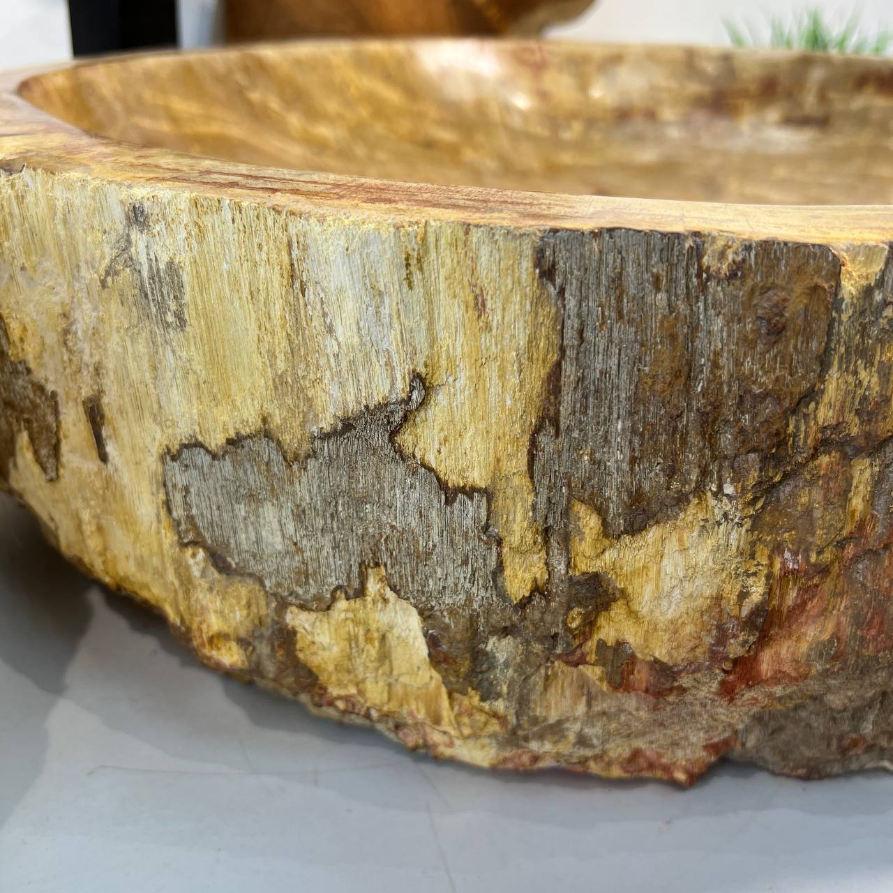 Раковина из окаменелого дерева ПАРА! OD-66878 62*55*15 из натурального камня