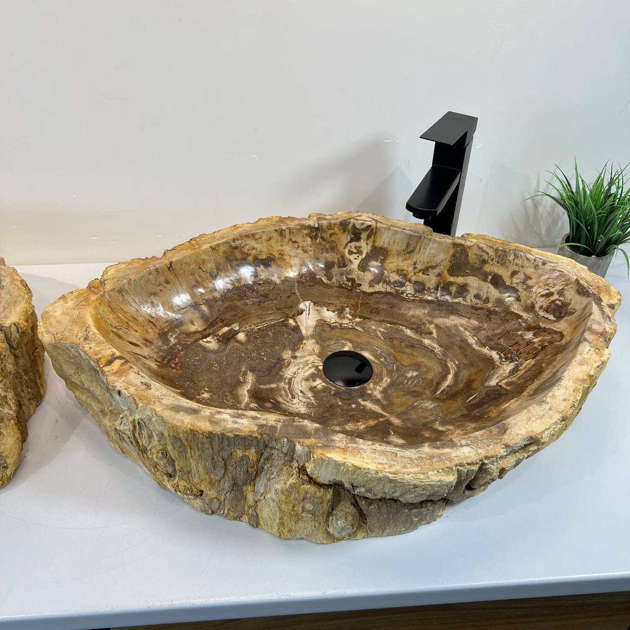 Раковина из окаменелого дерева ПАРА! OD-66906 70*47*15 из натурального камня
