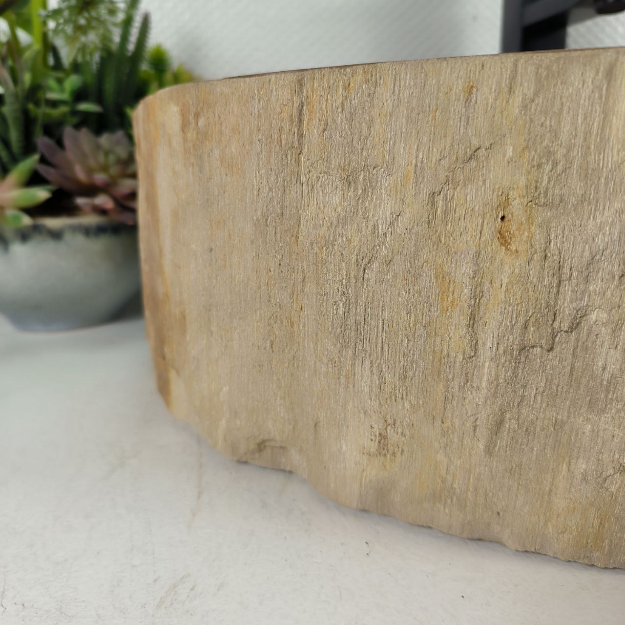 qpbfr9g6jr0ac2sbd5wzdlea3191noav