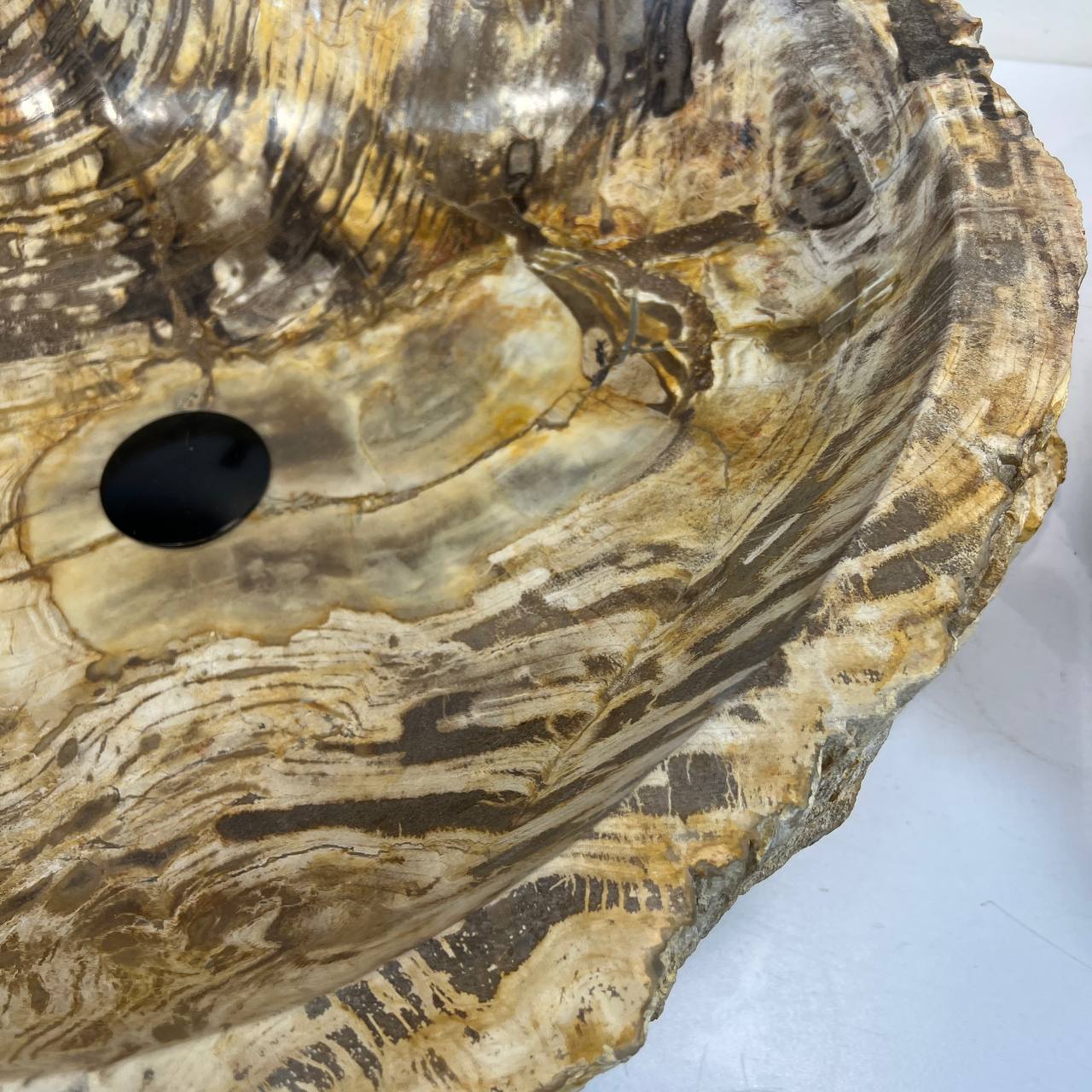 Раковина из окаменелого дерева ПАРА! OD-66907 63*49*15 из натурального камня