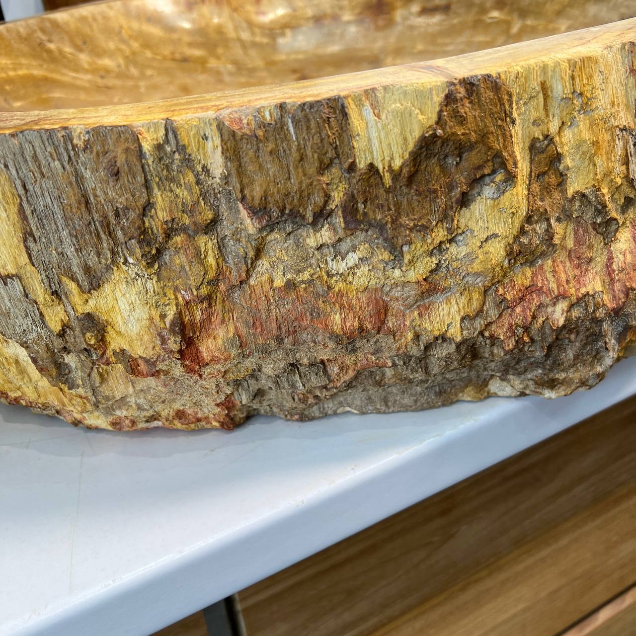 Раковина из окаменелого дерева ПАРА! OD-66878 62*55*15 из натурального камня