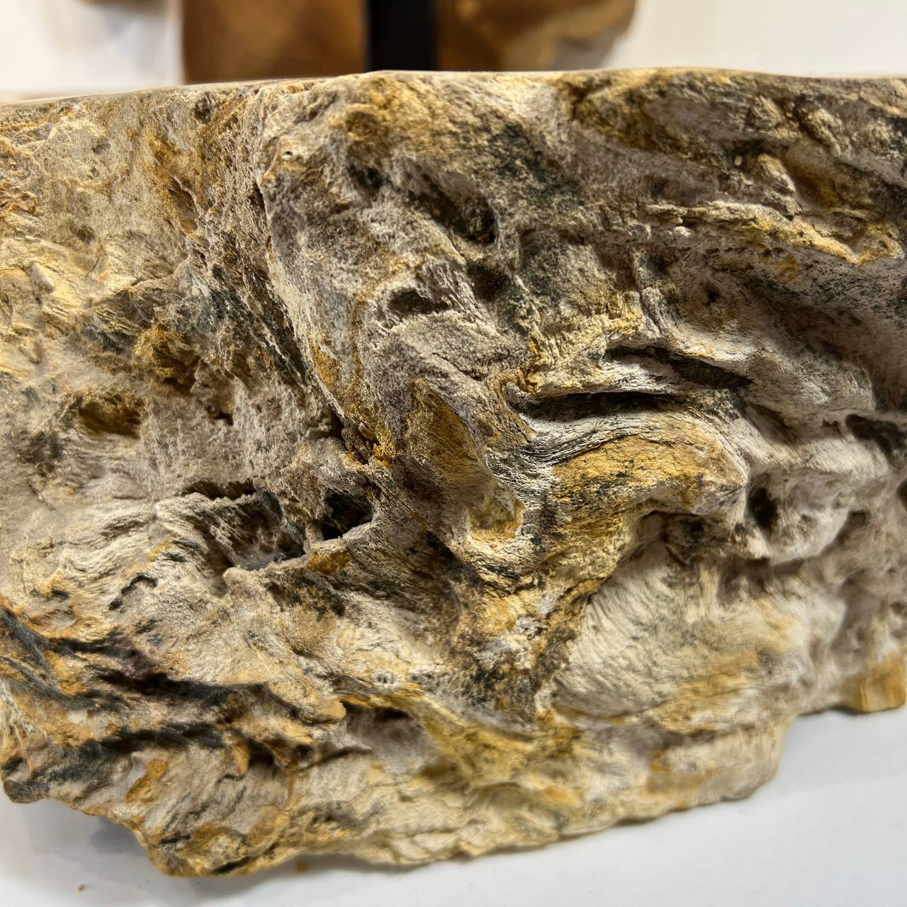 Раковина из окаменелого дерева ПАРА! OD-66877 60*47*15 из натурального камня