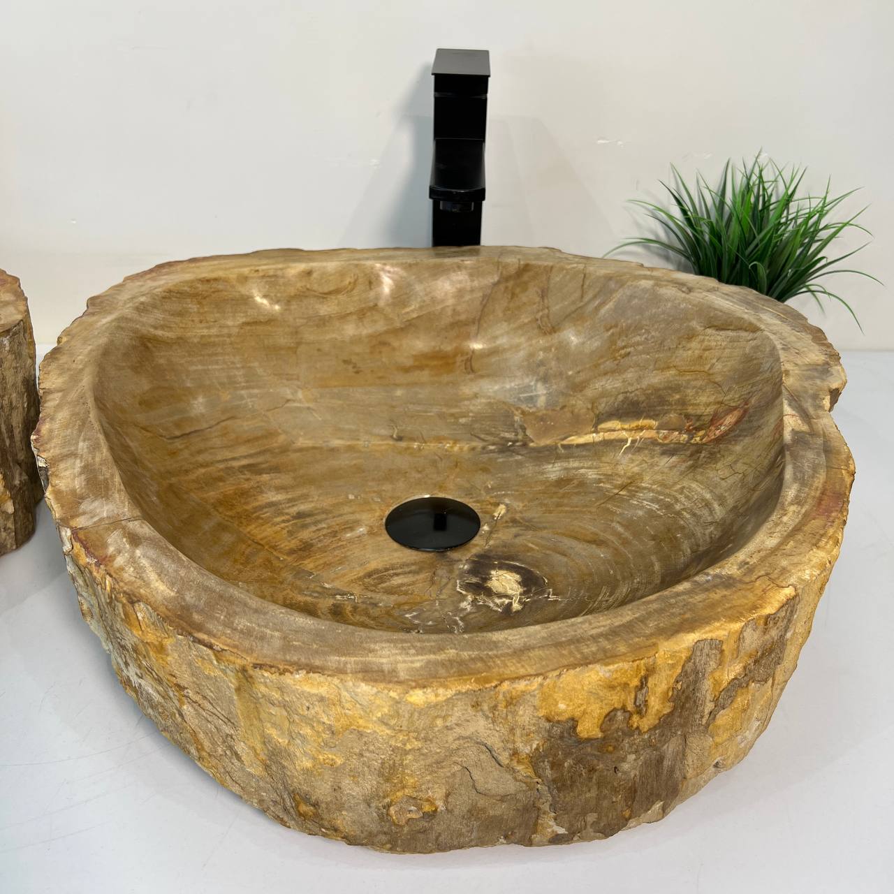 Раковина из окаменелого дерева ПАРА! OD-66881 53*50*15 из натурального камня