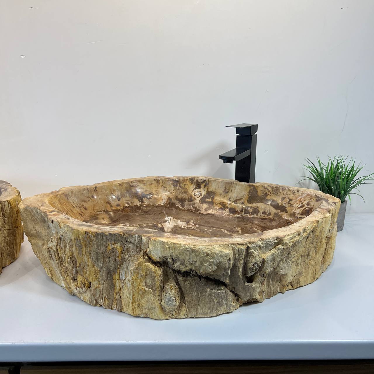Раковина из окаменелого дерева ПАРА! OD-66906 70*47*15 из натурального камня