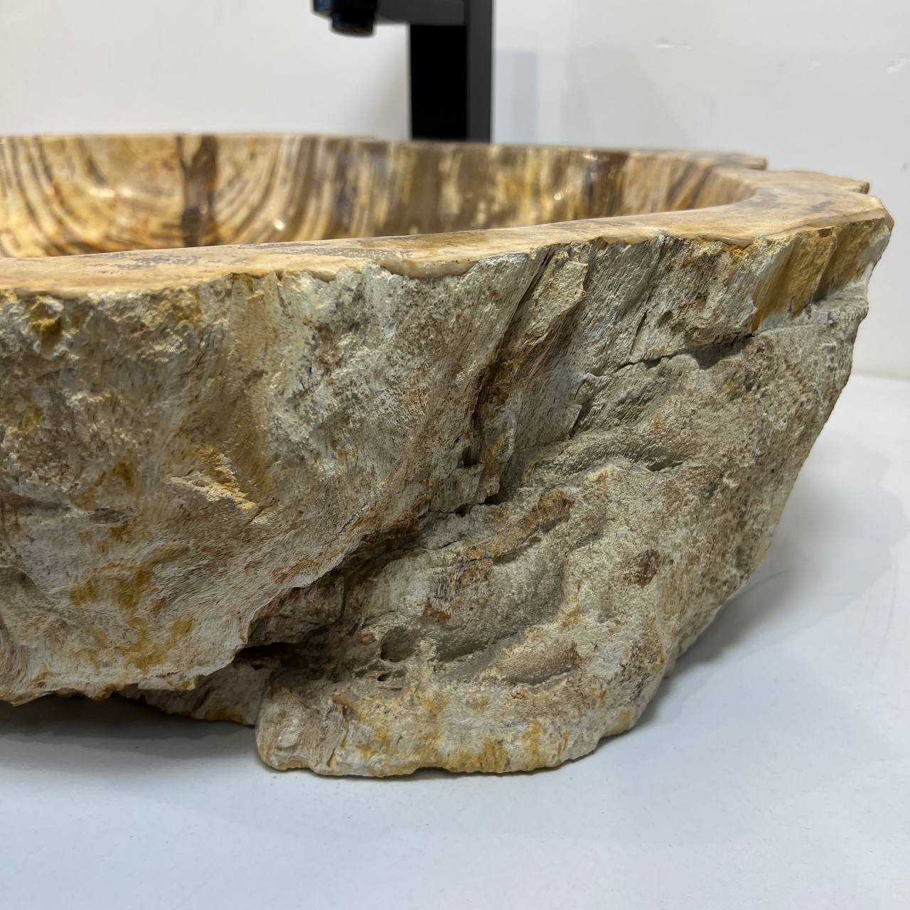 Раковина из окаменелого дерева ПАРА! OD-66907 63*49*15 из натурального камня