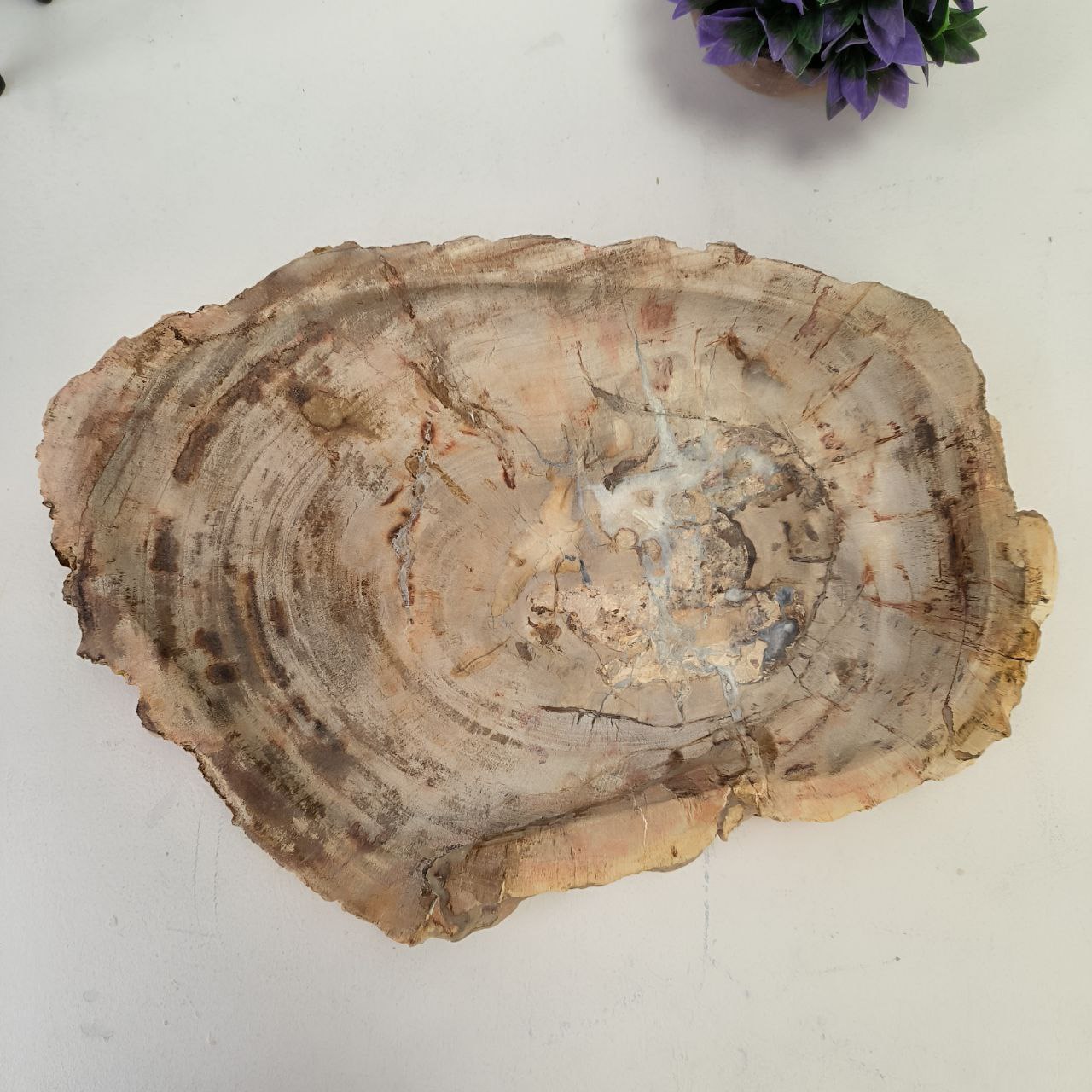 hdnabm64l066d2a2axvdeewonri1om1k