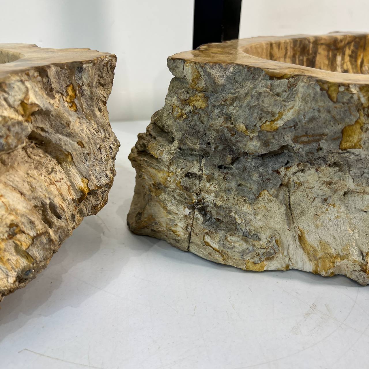 Раковина из окаменелого дерева ПАРА! OD-67024 54*42*15 из натурального камня