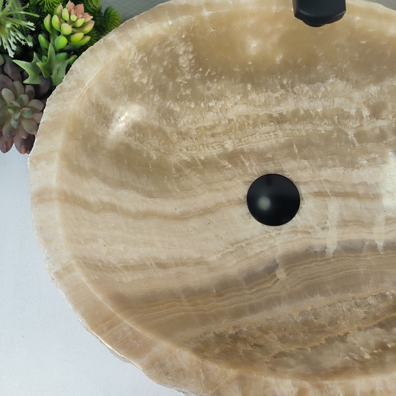 tnlypw6fxobhjjllxl2dsn427qgvx881