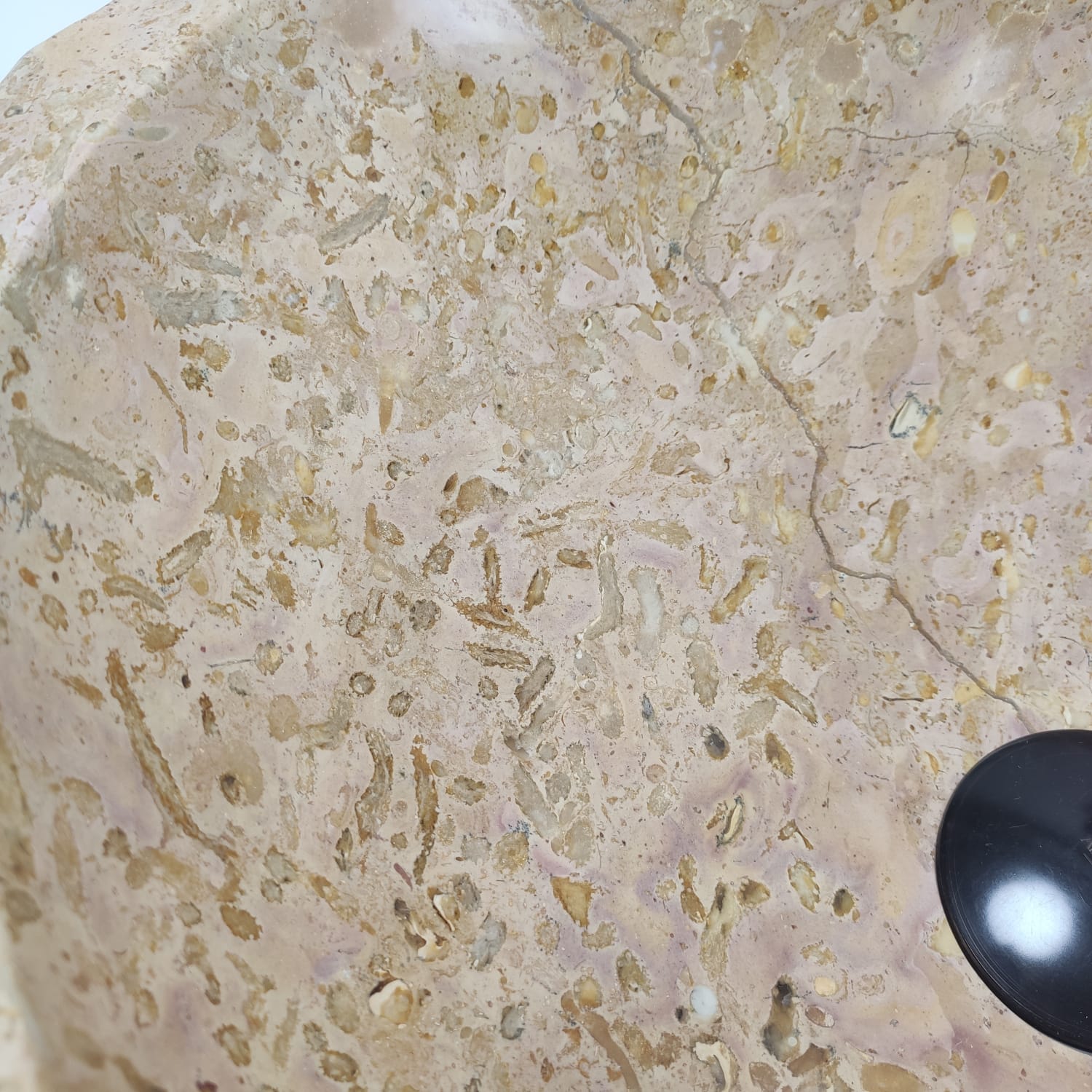 9ipo61ft7ywpr0ywakr47qmz4xxd3ncg