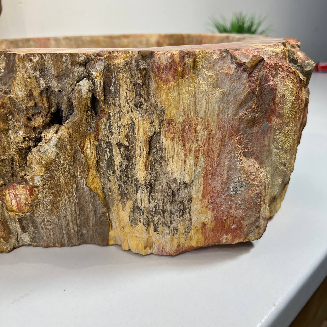 Раковина из окаменелого дерева ПАРА! OD-66876 62*45*16 из натурального камня