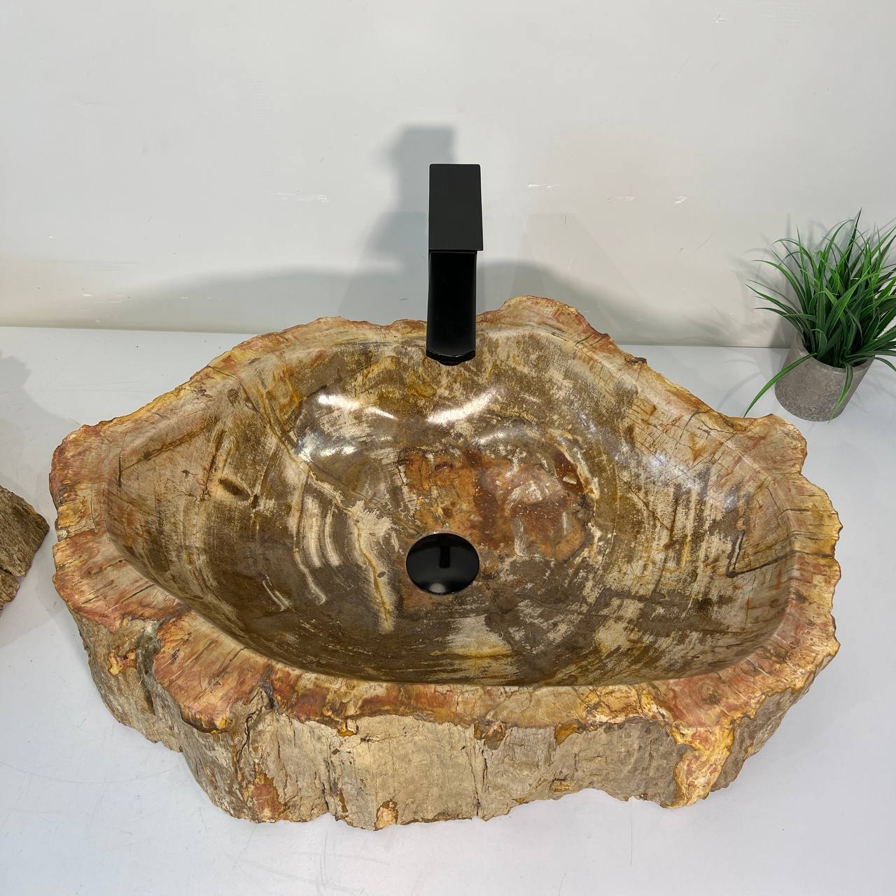 Раковина из окаменелого дерева ПАРА! OD-67011 63*46*16 из натурального камня