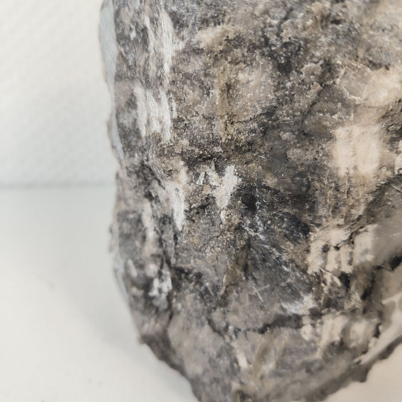 photo_2024-04-24_09-49-02