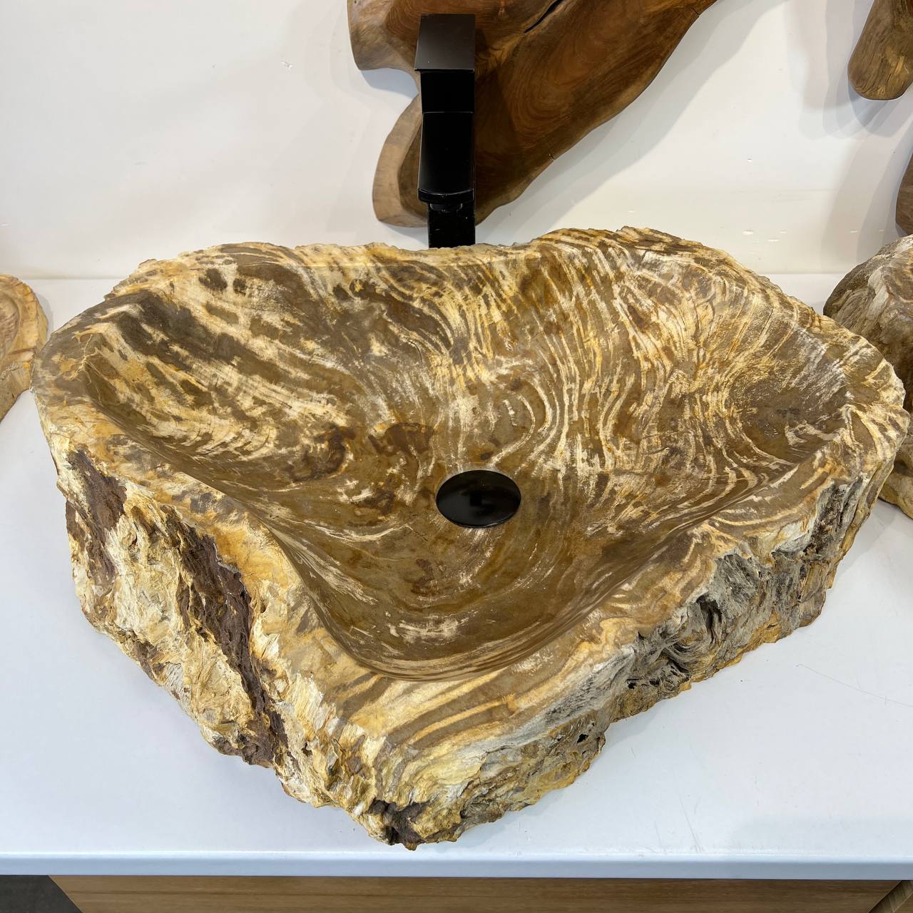 Раковина из окаменелого дерева ПАРА! OD-66877 60*47*15 из натурального камня