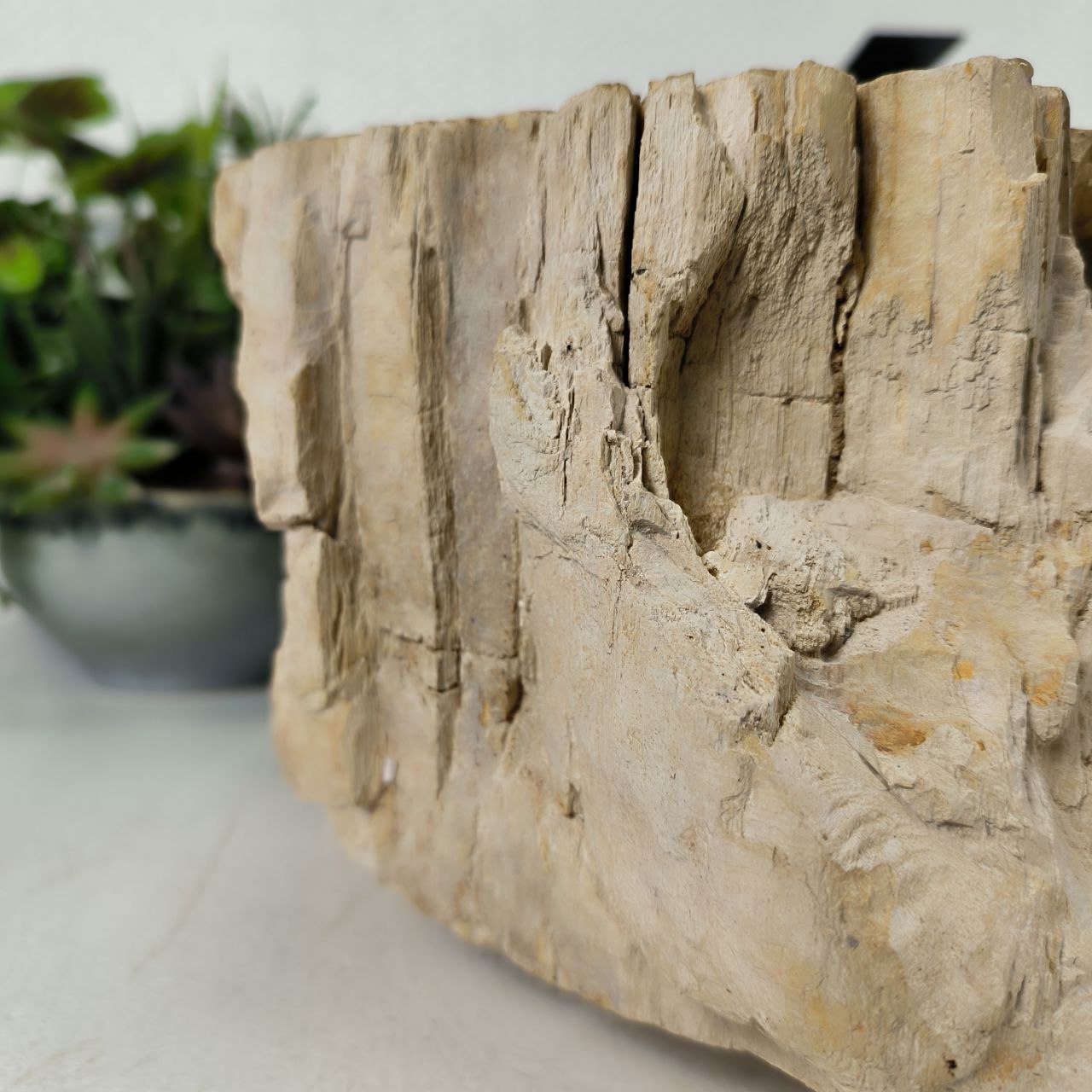 xrshth1x3s10o12pugavn6vf27y0fcad