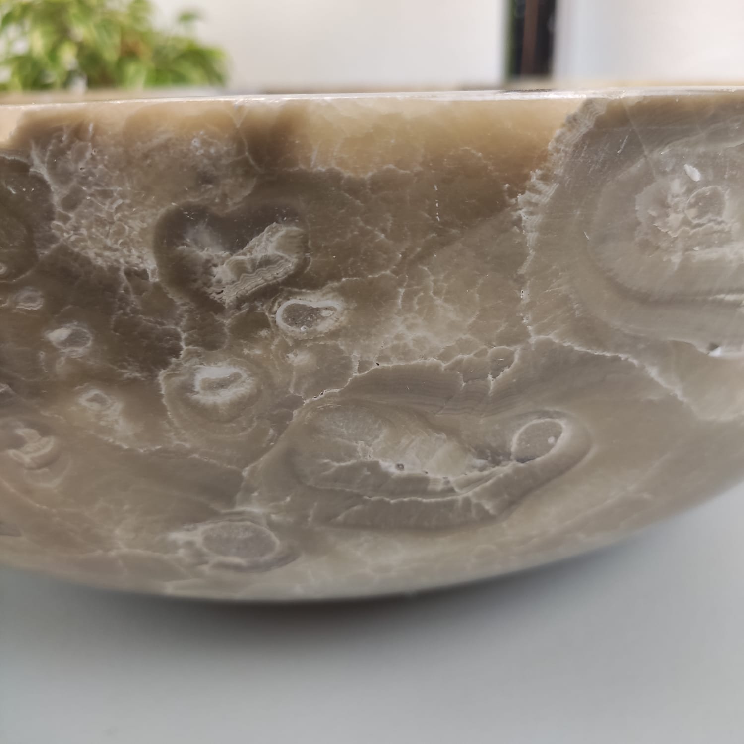 lgqx0b0u44w4nzhmb3xy8mabur9mtvv3