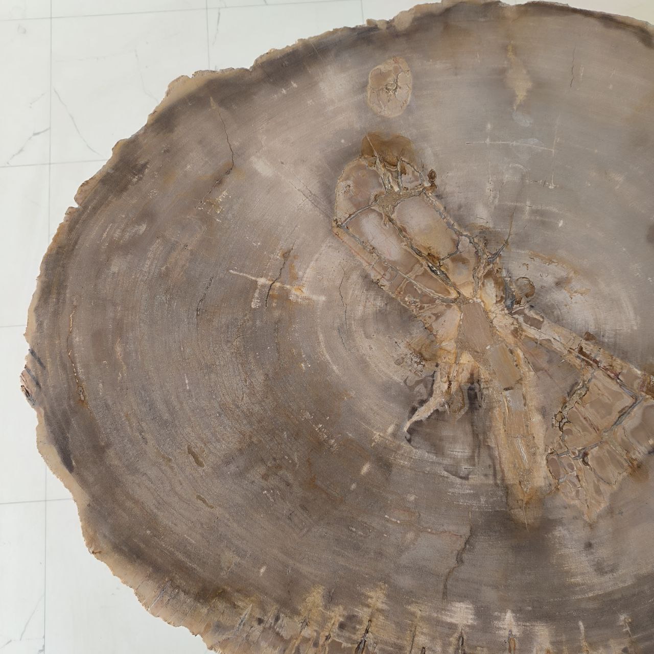 3ibmcwwgjsvmm9vvb2wxm9neyg8g2nel