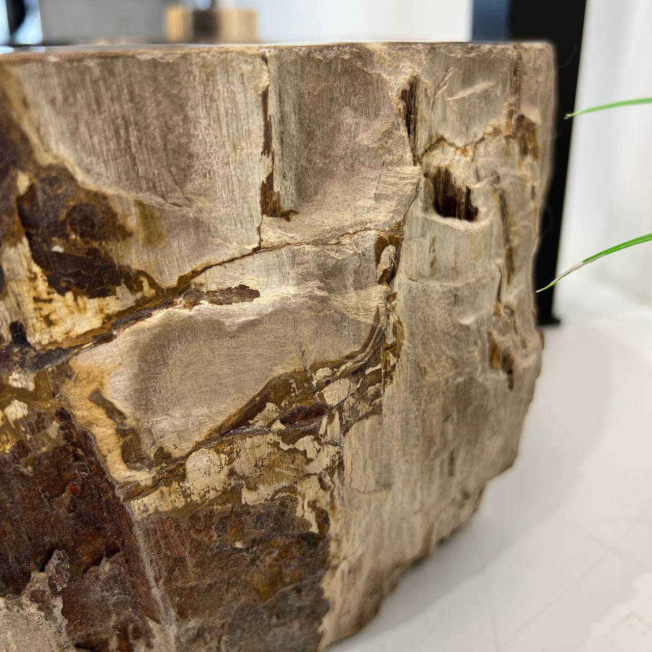 photo_2026-07-01_22-42-50 (2)