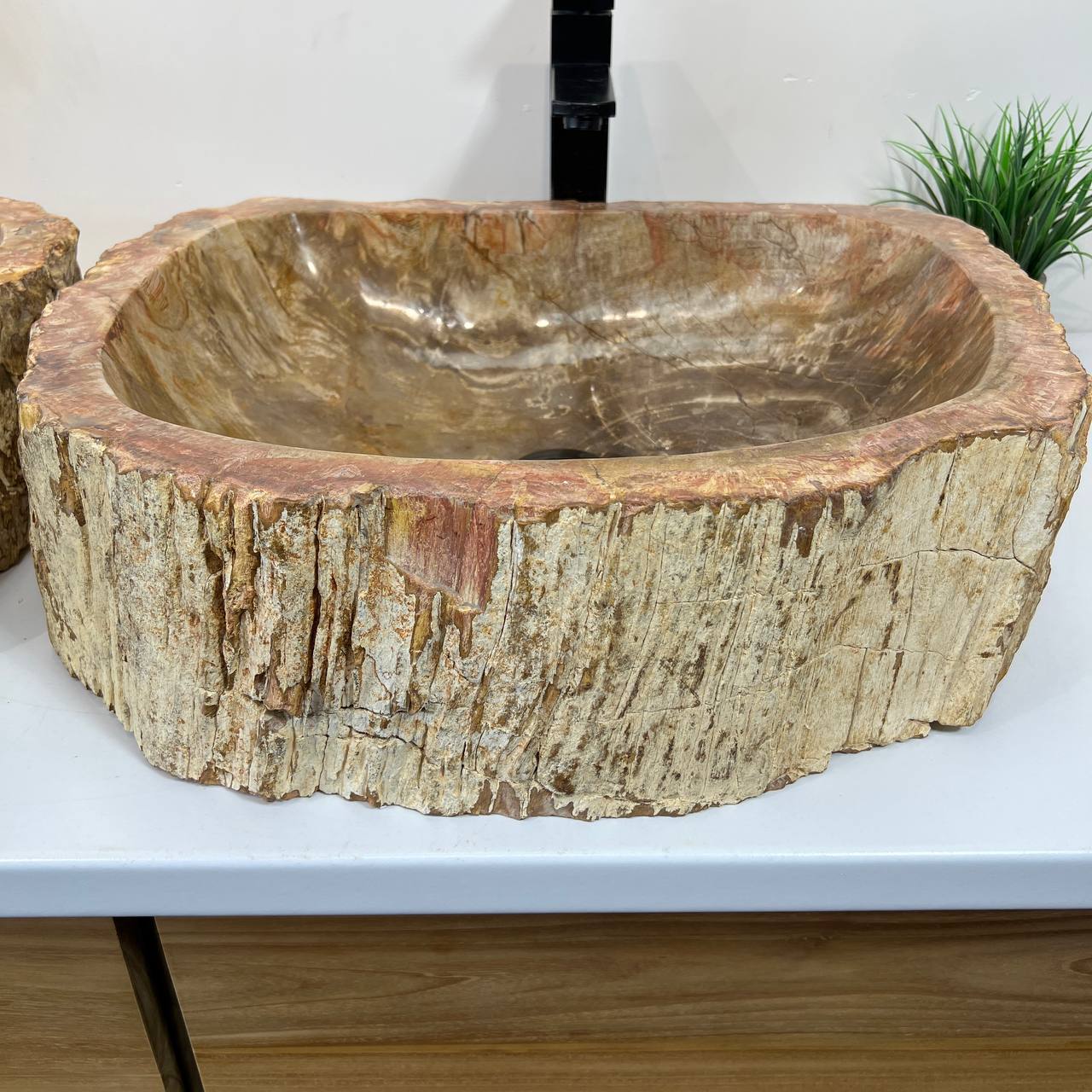 Раковина из окаменелого дерева ПАРА! OD-66879 55*45*16 из натурального камня