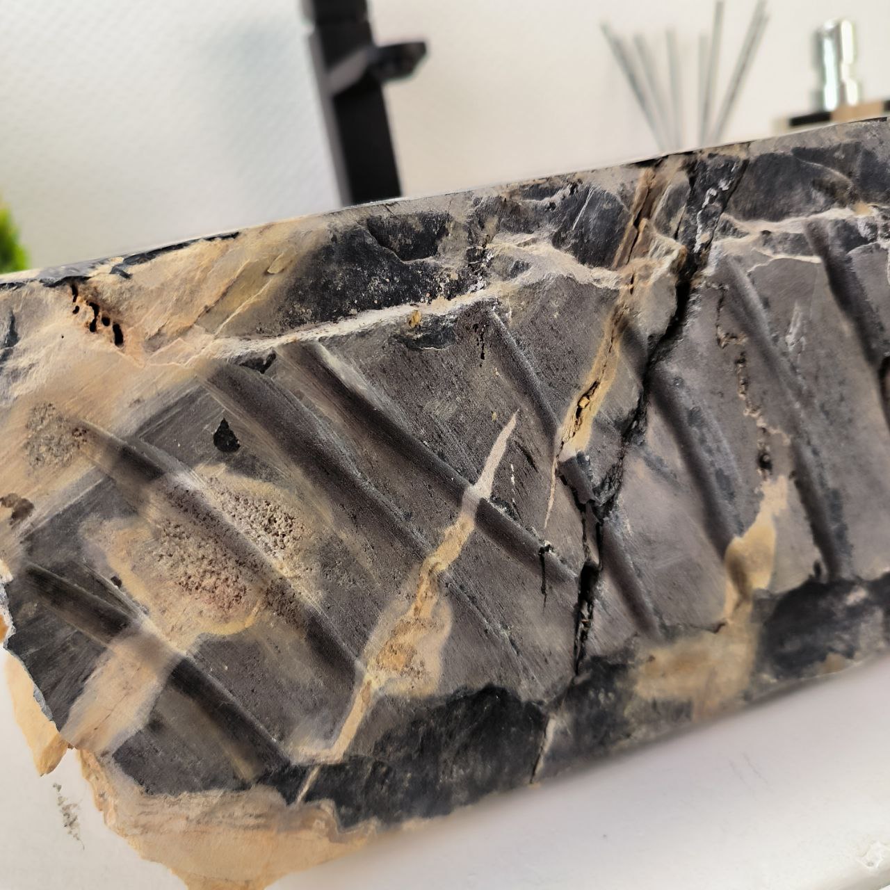 8b1r08lqhmxfo3j6t621luer5mz2mso3