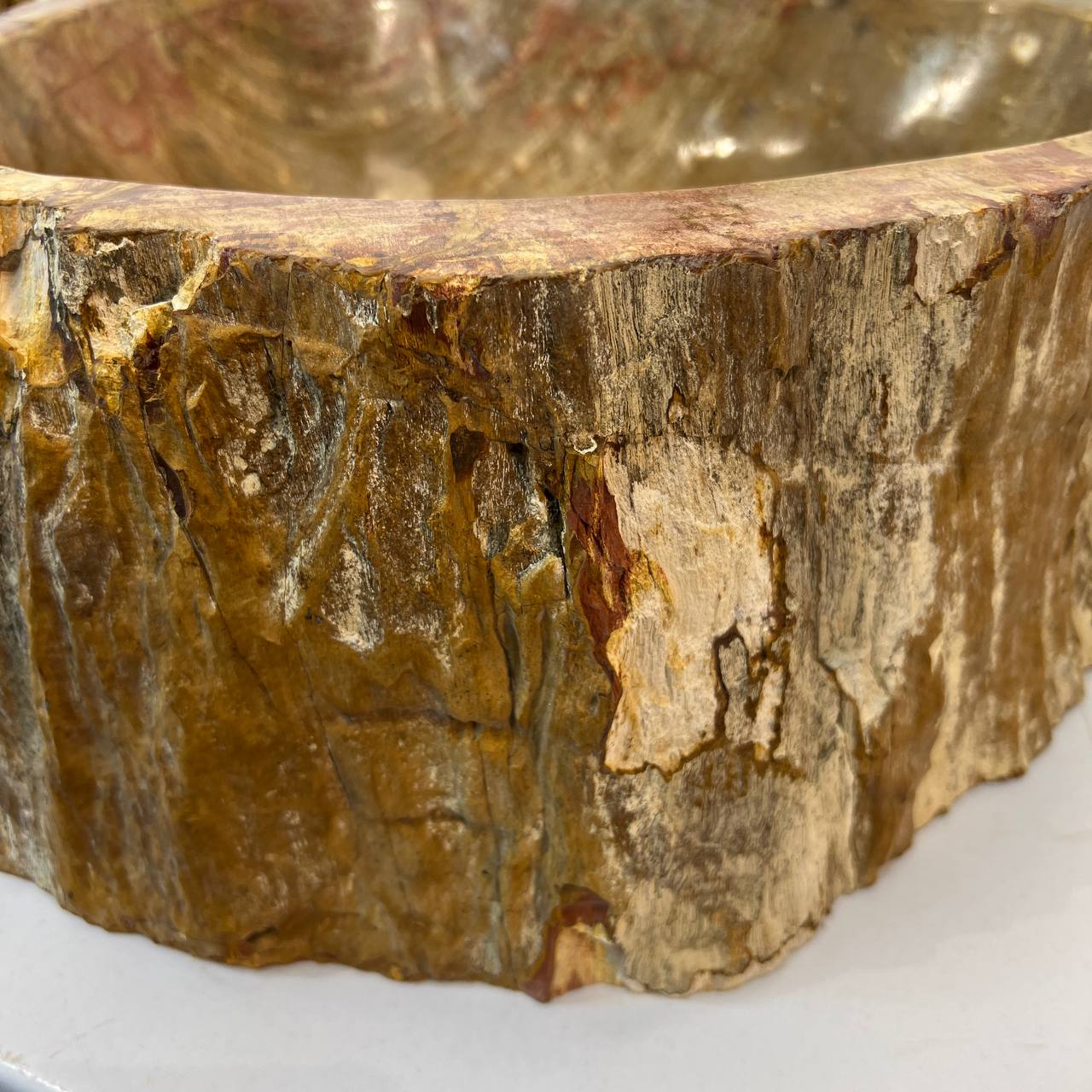 Раковина из окаменелого дерева ПАРА! OD-67004 51*44*16 из натурального камня