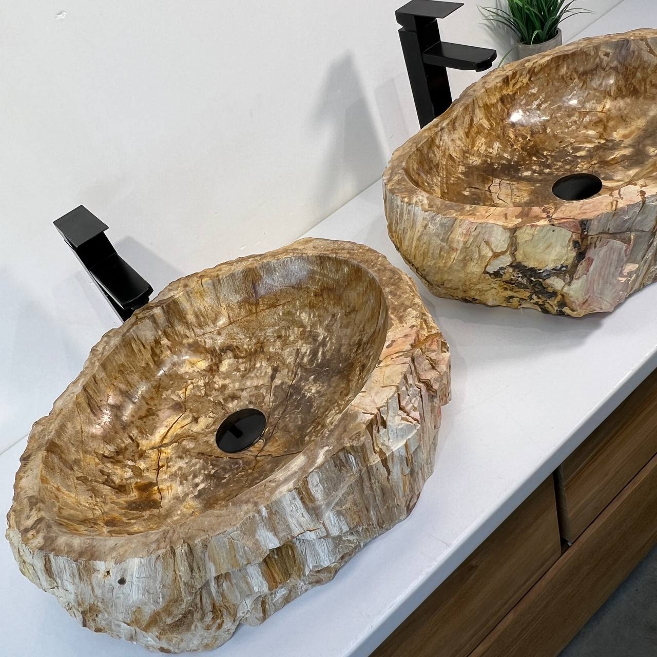 Раковина из окаменелого дерева ПАРА! OD-66941 53*42*15 из натурального камня