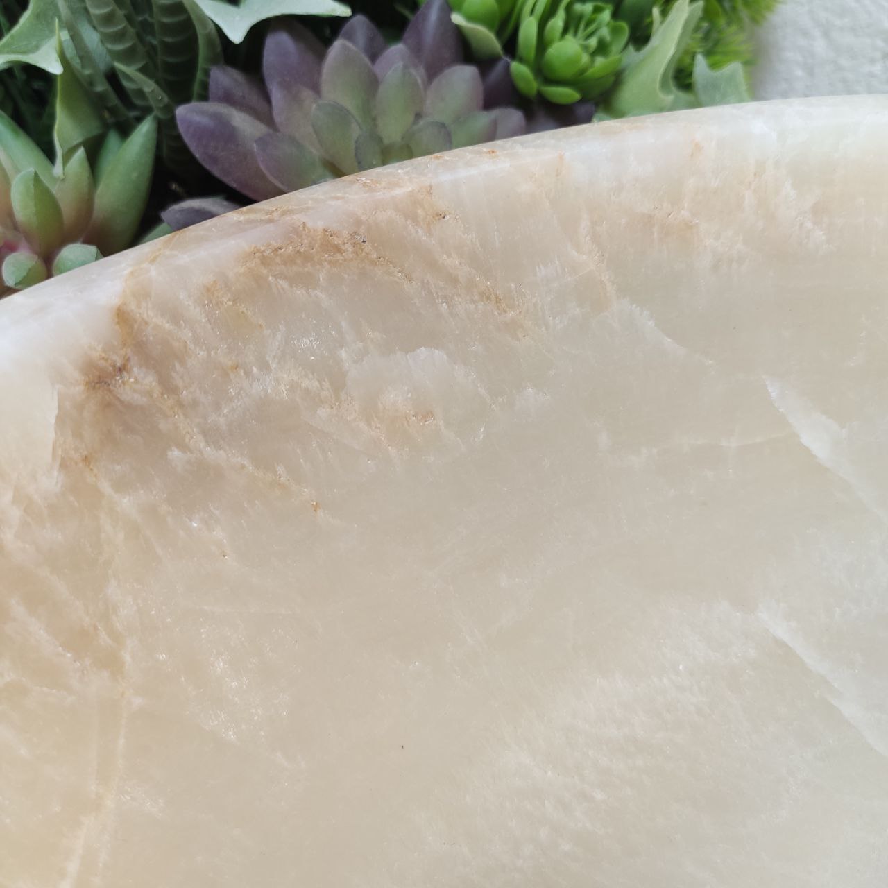 1yq8wvz1y28dzd199omrn439tm9ii70w