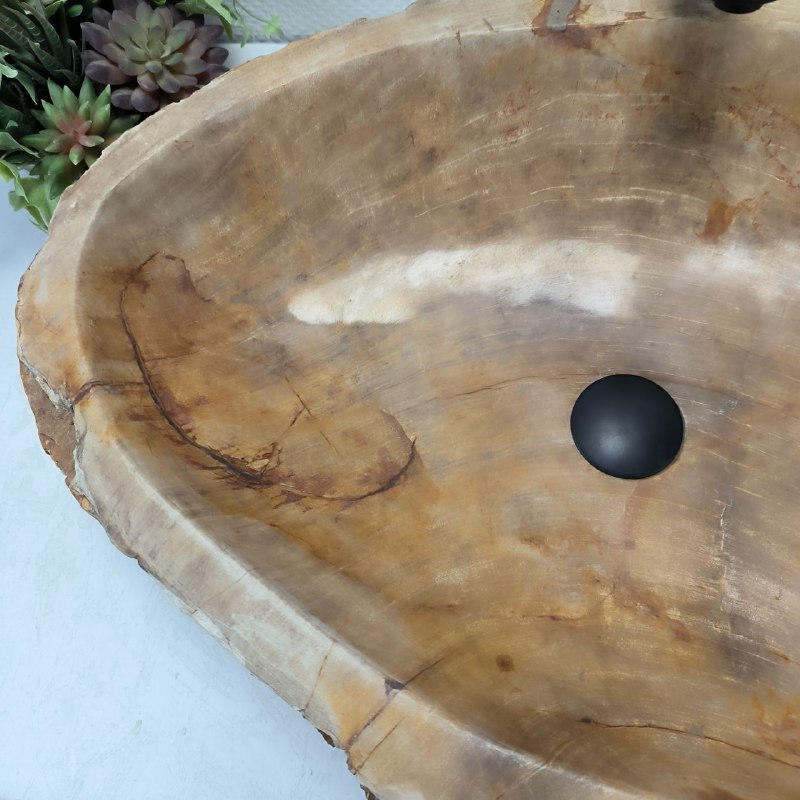 sz8ovjb3vns7kp3rid49lkij0jnhxo1i