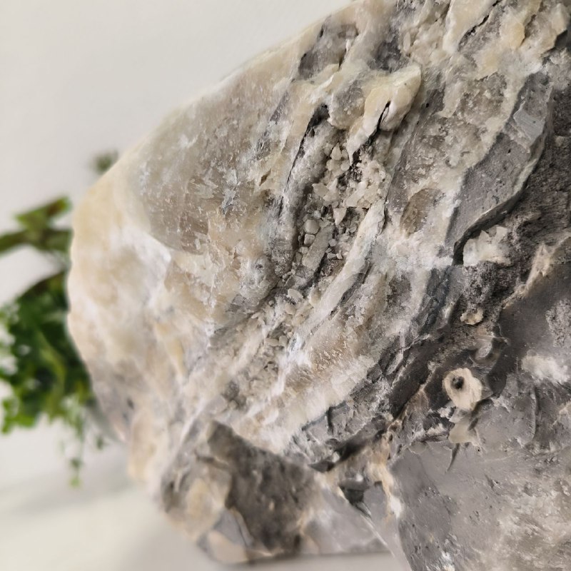 1ysbao8n594608h2usjqbcfywj1yld6h