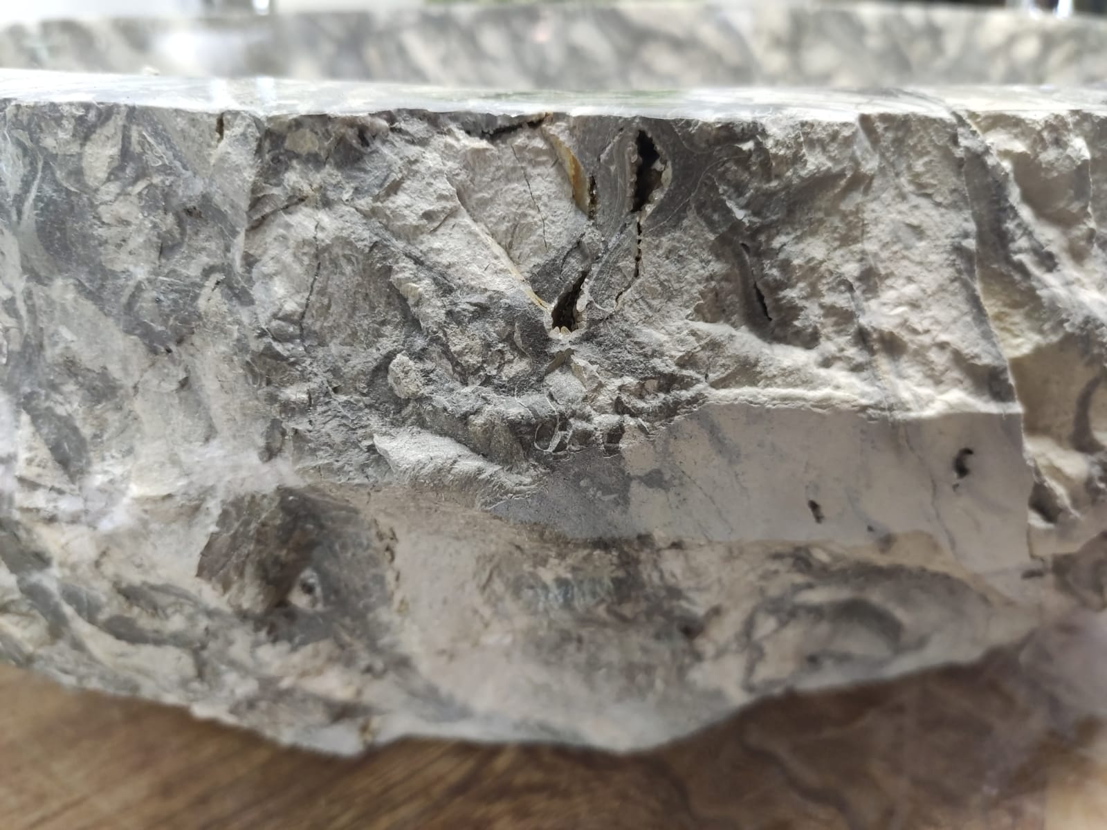 ael0hd9fvtrteqfzs8przp4fgt2qt3pn