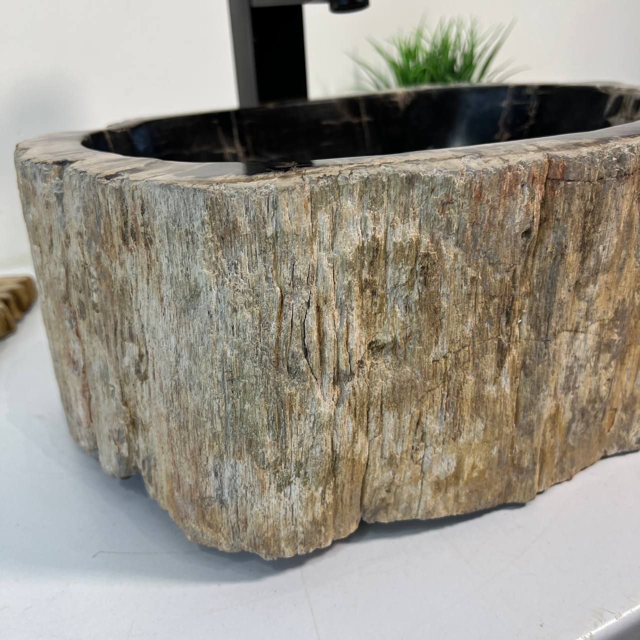 Раковина из окаменелого дерева OD-66968 39х30х16 из натурального камня