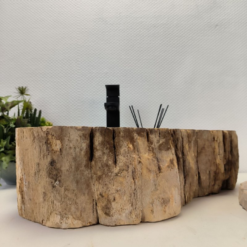 7rcy4fupde7lpvm8ekkbg1fq7qzd8848