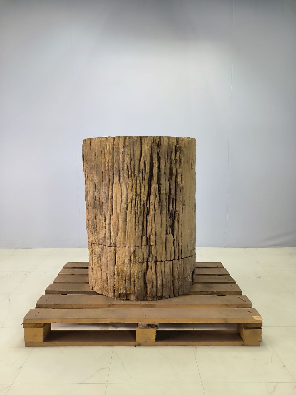 photo_2025-09-29_14-50-39