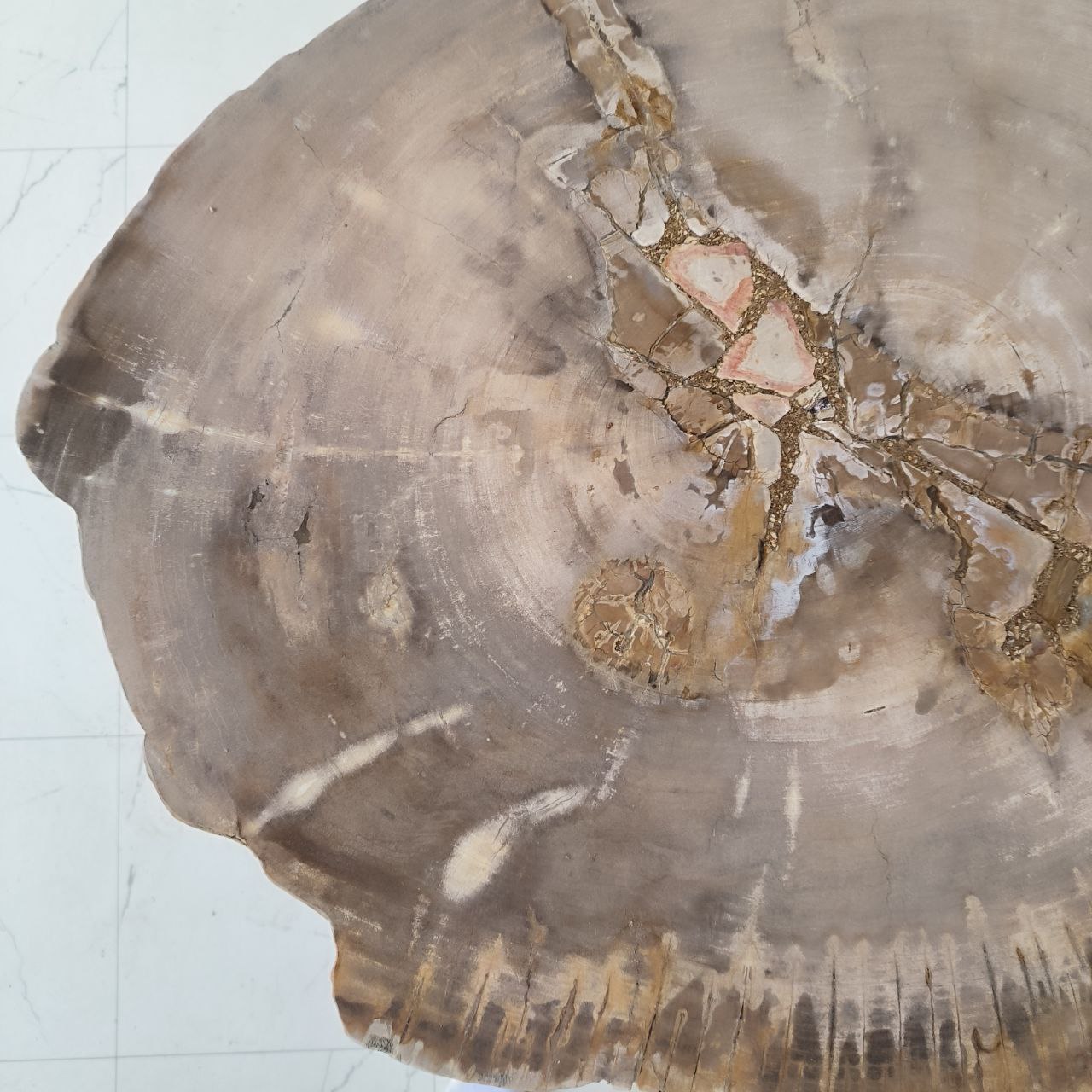 l4isj7y1f7pn4hz5lze28eovgp96nr69