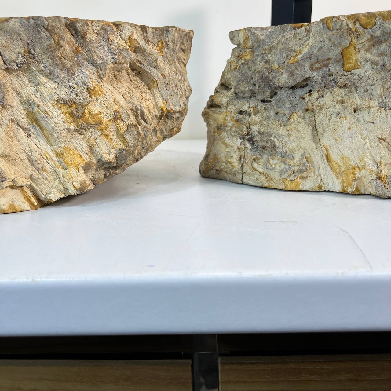 Раковина из окаменелого дерева ПАРА! OD-67024 54*42*15 из натурального камня