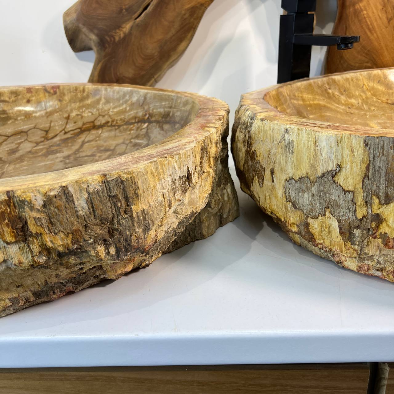 Раковина из окаменелого дерева ПАРА! OD-66878 62*55*15 из натурального камня