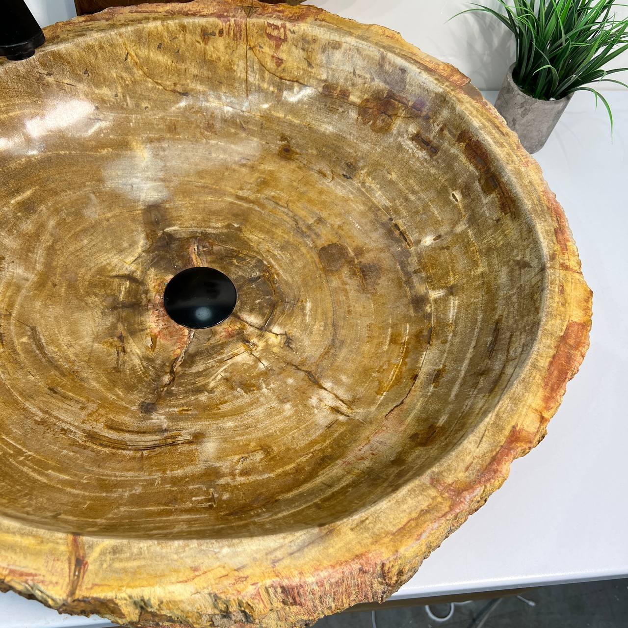 Раковина из окаменелого дерева ПАРА! OD-66878 62*55*15 из натурального камня