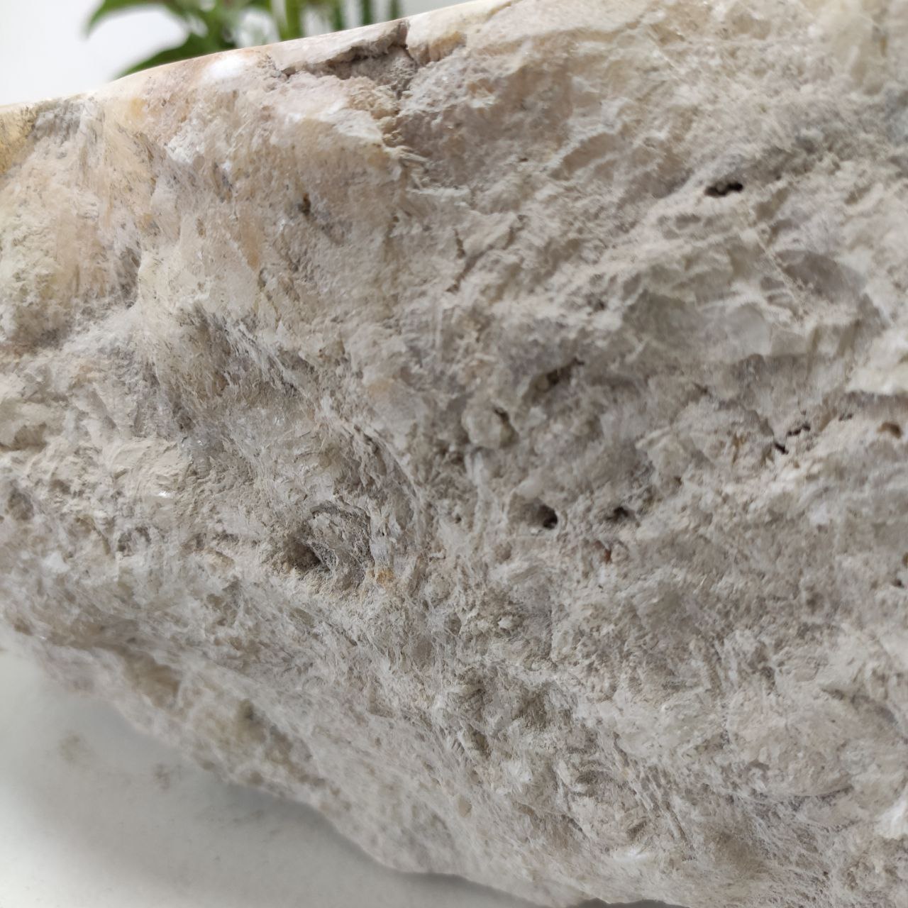 61ug1gxdq2020hjhfmz1dez63bmkdxmc