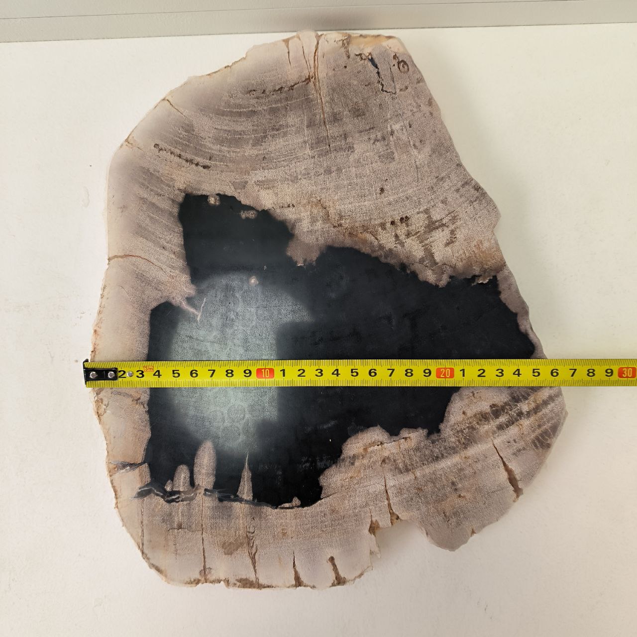 1wxltn4l2gpye65kg9jm8hvj6g4afii2