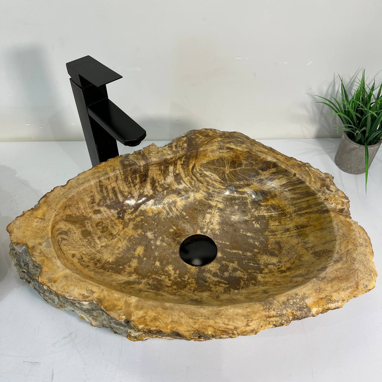 Раковина из окаменелого дерева ПАРА! OD-67024 54*42*15 из натурального камня