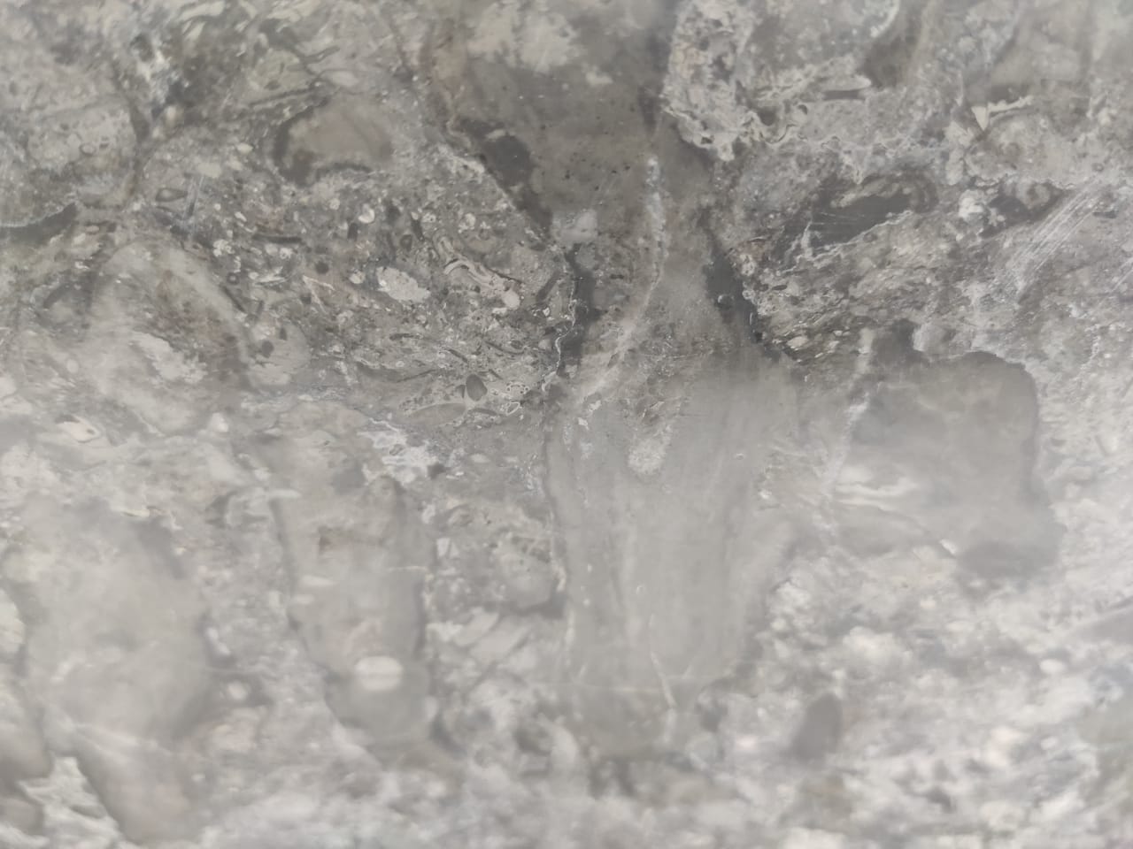 89dd1ca40393586c2703decc66ef2e34