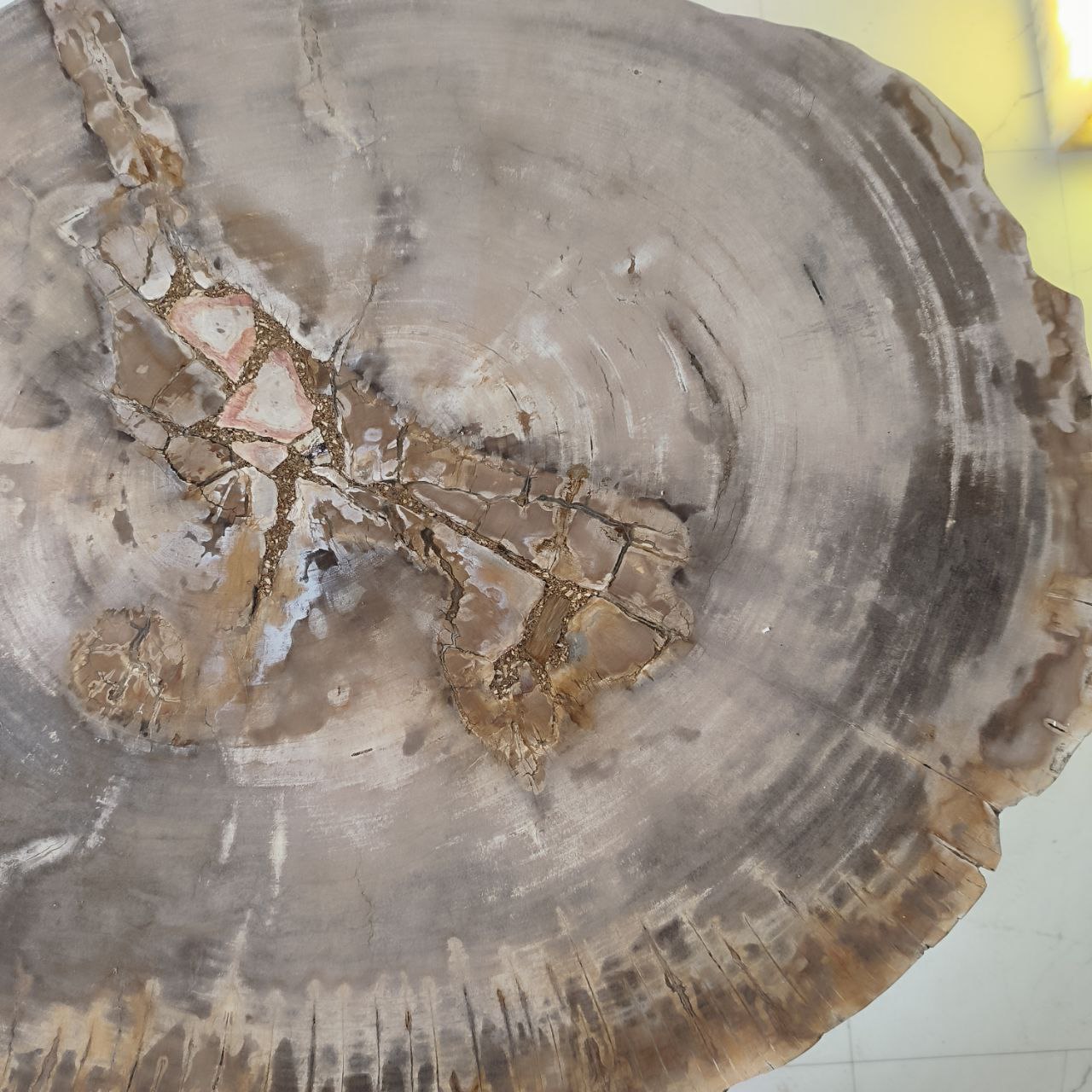 x806ju9qezwas58vfdn7w0iszhi6nc4f