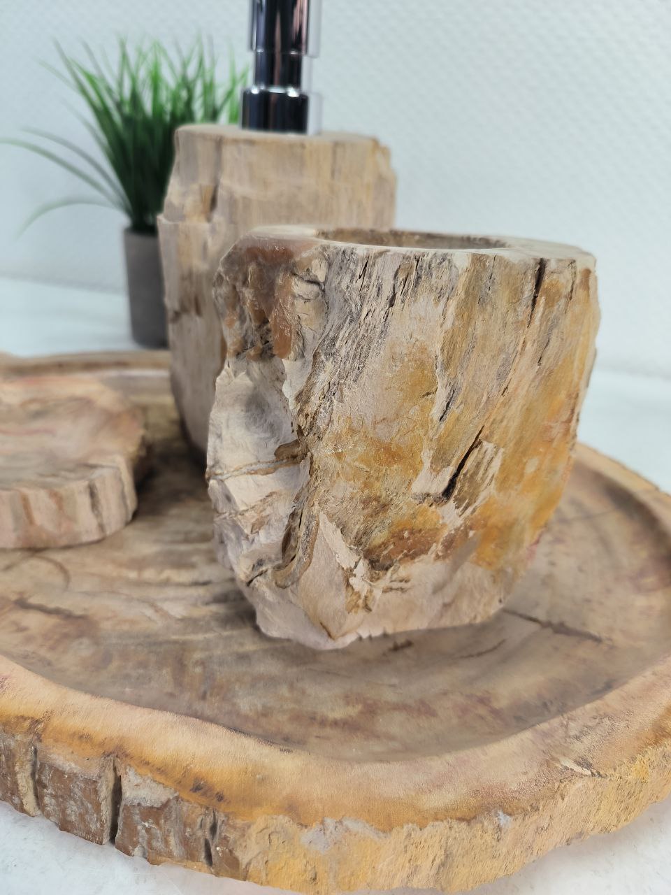 photo_2025-02-06_17-10-20 (2)