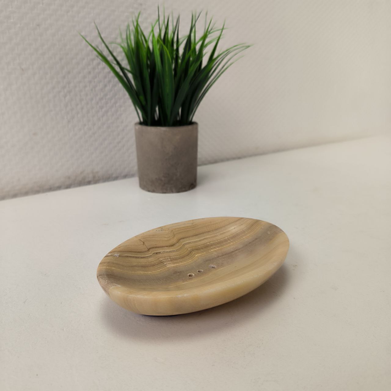 nio9a8zjymqfud8szr26i4zg1xesbvhe